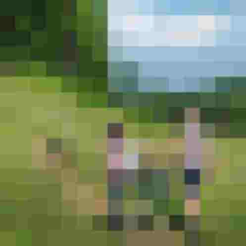 Familie mit Hund wandert auf einem malerischen Wanderweg in den Alpen.