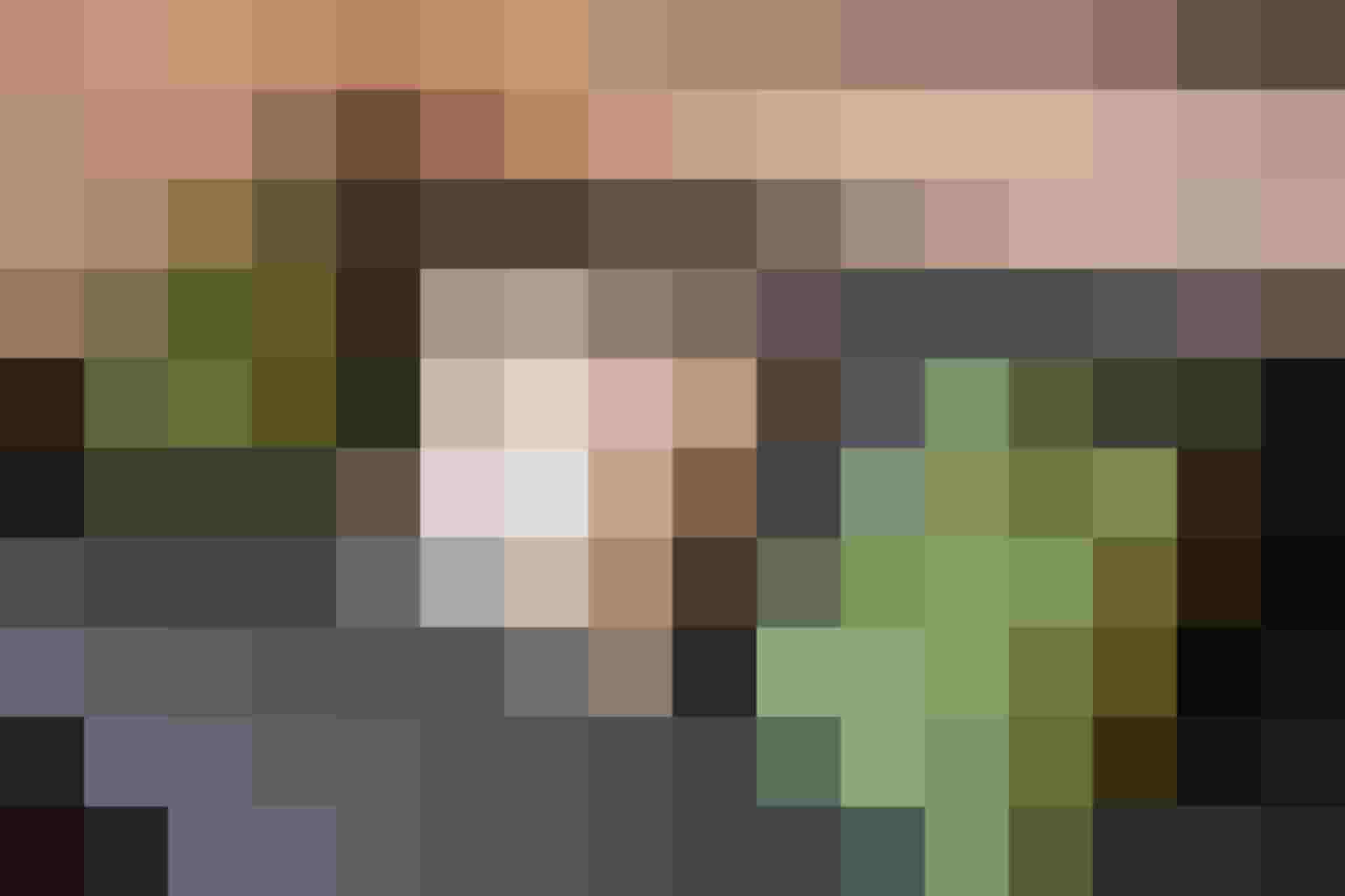 Gemütliche Couch mit grünen Kissen und einem Dekopillow mit Reh-Motiv in alpiner Atmosphäre.